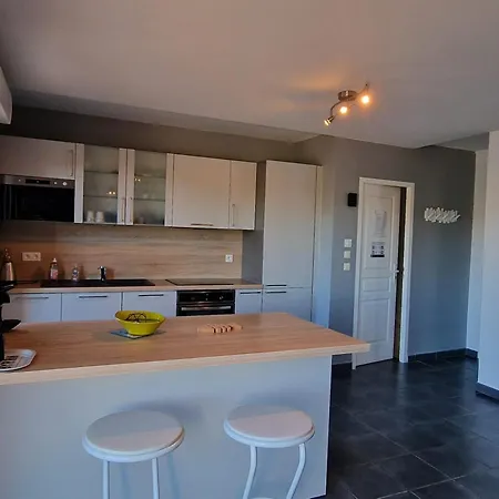 Renove A Avec Terrasse - Fr-1-309-4