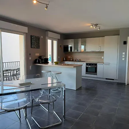 Renove A Avec Terrasse - Fr-1-309-4