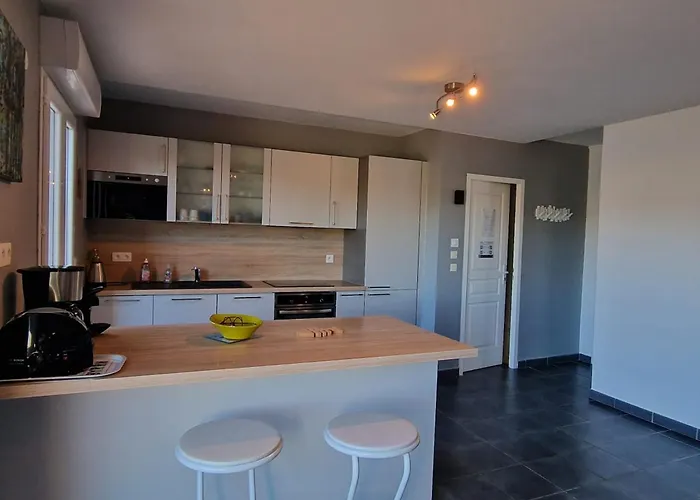 Renove A Avec Terrasse - Fr-1-309-4